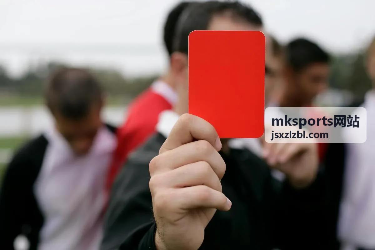 mksports网站字段口径与来源说明封面图