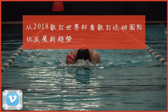 从2018散打世界杯看散打运动国际化发展新趋势