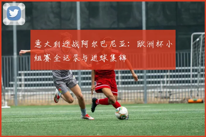 意大利迎战阿尔巴尼亚：欧洲杯小组赛全记录与进球集锦