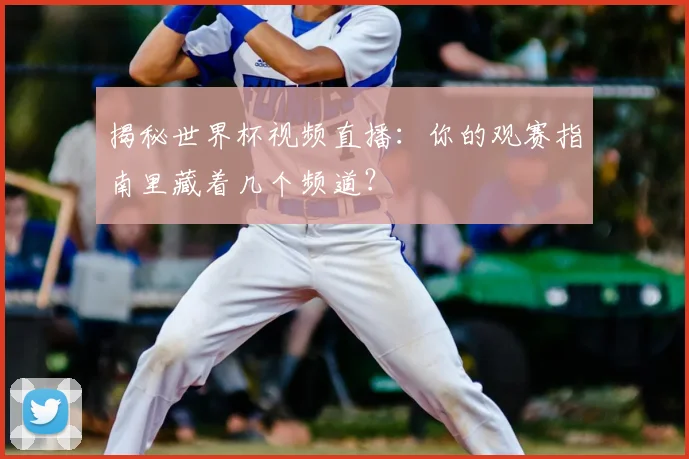 揭秘世界杯视频直播：你的观赛指南里藏着几个频道？