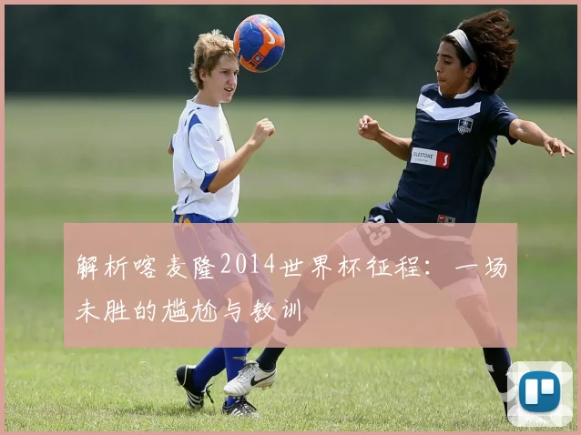 解析喀麦隆2014世界杯征程：一场未胜的尴尬与教训