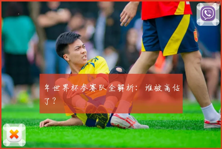 年世界杯参赛队全解析：谁被高估了？