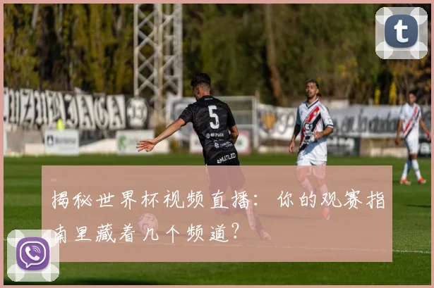揭秘世界杯视频直播：你的观赛指南里藏着几个频道？