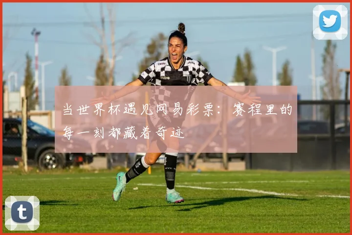 当世界杯遇见网易彩票：赛程里的每一刻都藏着奇迹