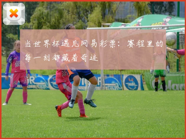 当世界杯遇见网易彩票：赛程里的每一刻都藏着奇迹