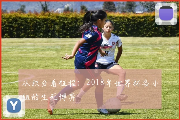 从积分看征程：2018年世界杯各小组的生死博弈